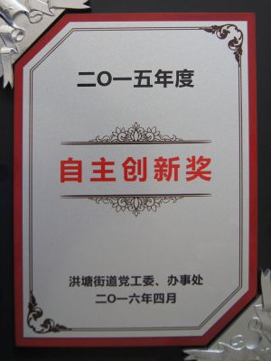 2015年度自主創(chuàng  )新獎