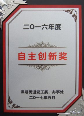 2016年度自主創(chuàng  )新獎