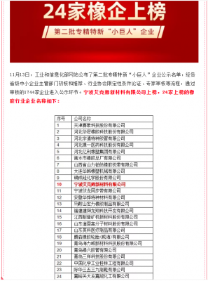 工信部公示第二批專(zhuān)精特新“小巨人”企業(yè)，寧波艾克姆新材料有限公司上榜！
