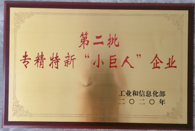 專(zhuān)精特新“小巨人”企業(yè)